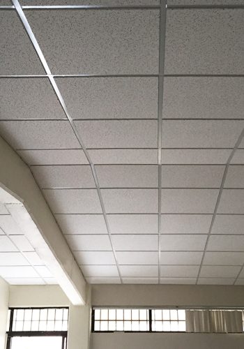 detalles-de-interior-techo-negocio