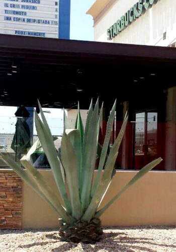 Starbucks coffee - Zona Río Tijuana